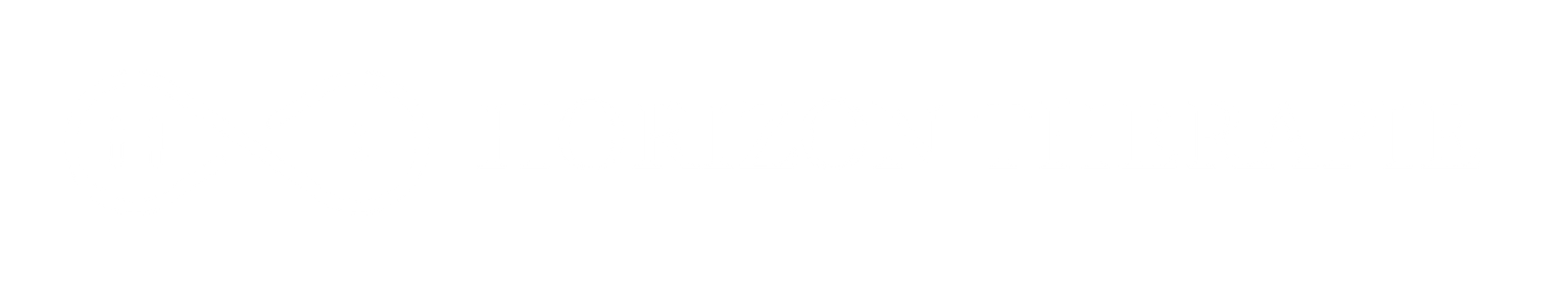 Horizon Coaching