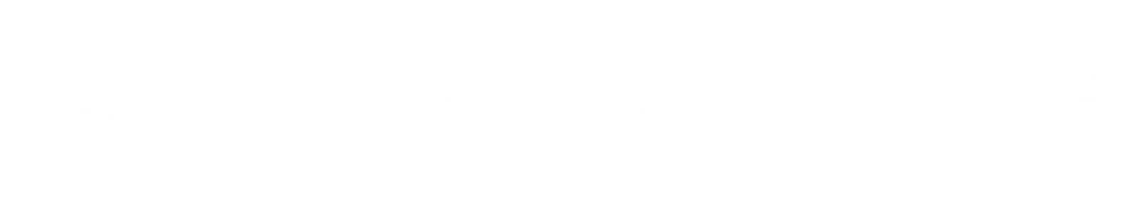 Horizon Coaching